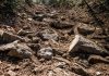 A rocky landscape, such as the one sweepstakes casinos navigate in the U.S.