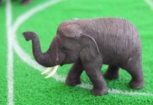 Elephant toy on a soccer field