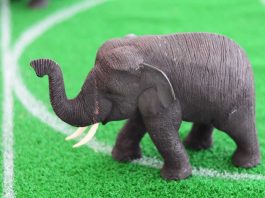 Elephant toy on a soccer field