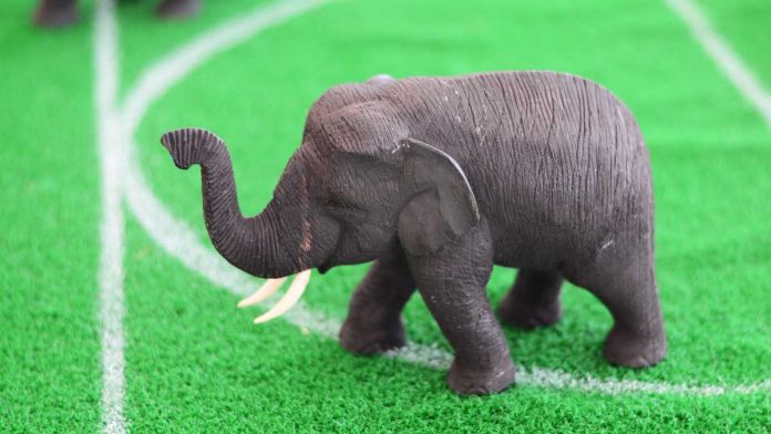 Elephant toy on a soccer field