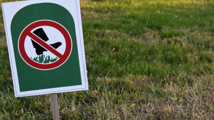 Don't walk on grass sign