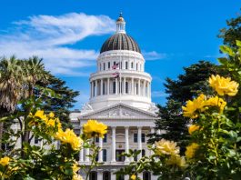 The California Capitol building, which houses the state's Senate