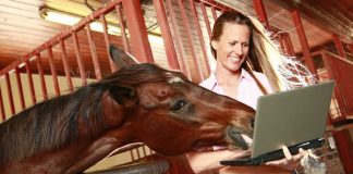 iGaming lobbyist calls out Churchill Downs on anti-online casino stance Horse looking at a laptop