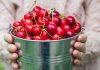 Bucket of cherries