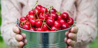 Kalshi brief says gaming industry cherry-picking legal language Bucket of cherries