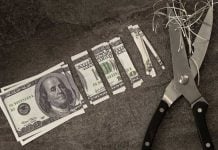 $100 bill cut into small pieces