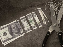 $100 bill cut into small pieces