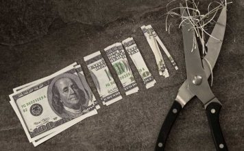 $100 bill cut into small pieces