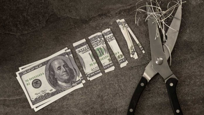 $100 bill cut into small pieces