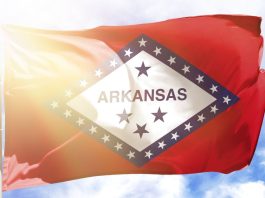 The flag of Arkansas with sunshine in the background