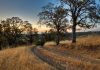 VGW enlists California tribal partner as anti-sweeps bill progresses A ranch road in Colusa County, California, where the Kletsel Dehe Wintun Nation of the Cortina Rancheria is based