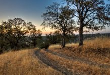 A ranch road in Colusa County, California, where the Kletsel Dehe Wintun Nation of the Cortina Rancheria is based