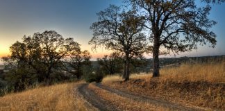 VGW enlists California tribal partner as anti-sweeps bill progresses A ranch road in Colusa County, California, where the Kletsel Dehe Wintun Nation of the Cortina Rancheria is based