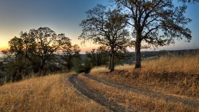 California-tribe-opposes-'self-serving'-sweeps-ban,-partners-with-VGW A ranch road in Colusa County, California, where the Kletsel Dehe Wintun Nation of the Cortina Rancheria is based