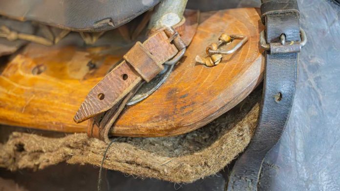 Churchill-Wins-Michigan-Stay-Appeal Horse saddle