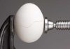 State auditor thinks MA regulators should’ve been tougher on betting ads Egg in a vice