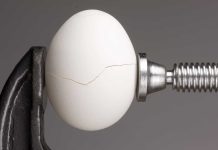 Egg in a vice