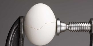 State auditor thinks MA regulators should’ve been tougher on betting ads Egg in a vice