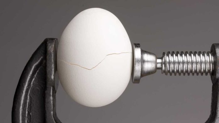 Egg in a vice