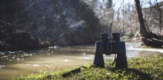 BetRivers unveils new streamlined payments with Sightline A pair of binoculars, representing Sightline, next to a river representing BetRivers