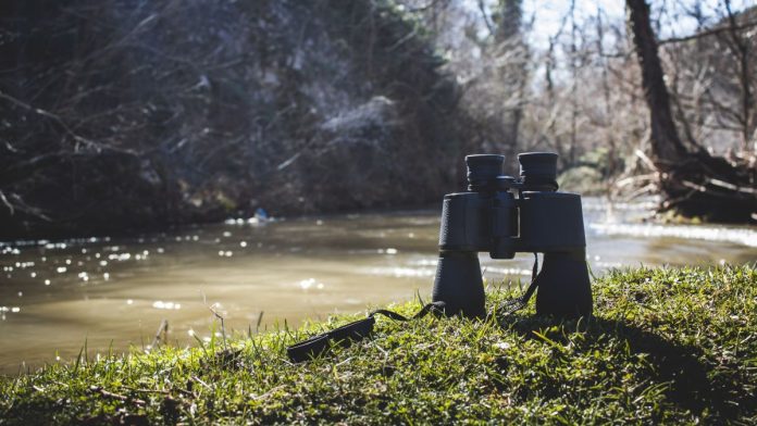 A pair of binoculars, representing Sightline, next to a river representing BetRivers