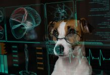 Underdog first US gaming operator to adopt Sportradar’s RG AI tool A dog wearing glasses assessing an AI-generated data report