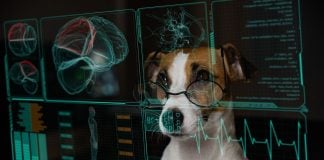 Underdog first US gaming operator to adopt Sportradar’s RG AI tool A dog wearing glasses assessing an AI-generated data report