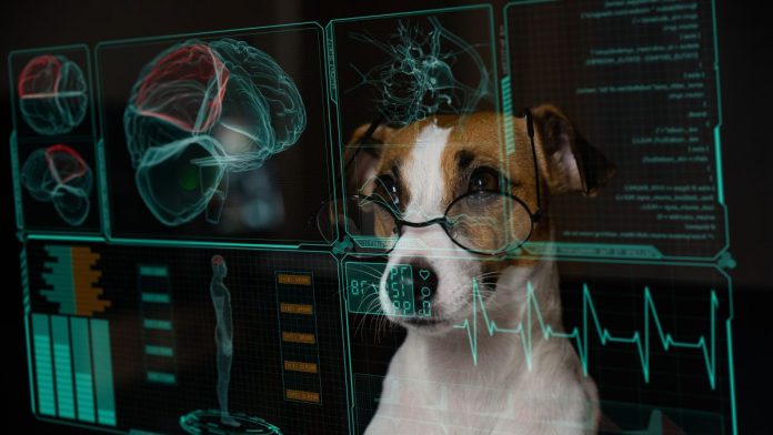 A dog wearing glasses assessing an AI-generated data report
