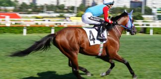 Turkish horse racing jockey as 1/ST plans to bring content from the country to North America.