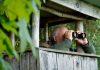 Congress watching NCAA closely regarding athlete betting change A man in a hideout looking at something through binoculars