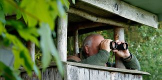 Congress watching NCAA closely regarding athlete betting change A man in a hideout looking at something through binoculars