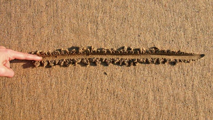 Nevada-Regulator-Kalshi-Memo Finger drawing line in sand