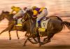 Kentucky regulator changes tone and approves table game themes for HHR Horse racing as Kentucky approves table game themes for HRR terminals in the state.