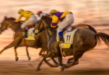 Kentucky regulator changes tone and approves table game themes for HHR Horse racing as Kentucky approves table game themes for HRR terminals in the state.