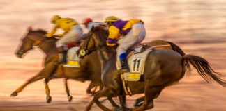 Horse racing as Kentucky approves table game themes for HRR terminals in the state.