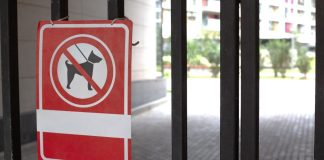 Arizona moves to revoke Underdog’s license over Crypto.com deal A sign showing that no dogs are allowed on the bars of a gate
