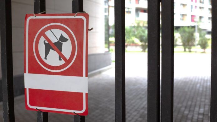 A sign showing that no dogs are allowed on the bars of a gate