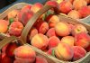 Peaches as lawmakers in Georgia reconsider an online sports betting bill.