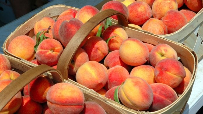 Peaches as lawmakers in Georgia reconsider an online sports betting bill.