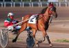 Illinois Racing Board suspends Hawthorne harness racing license A horse pulls a harness racer around a track