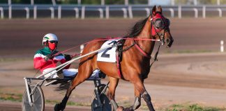 Illinois Racing Board suspends Hawthorne harness racing license A horse pulls a harness racer around a track