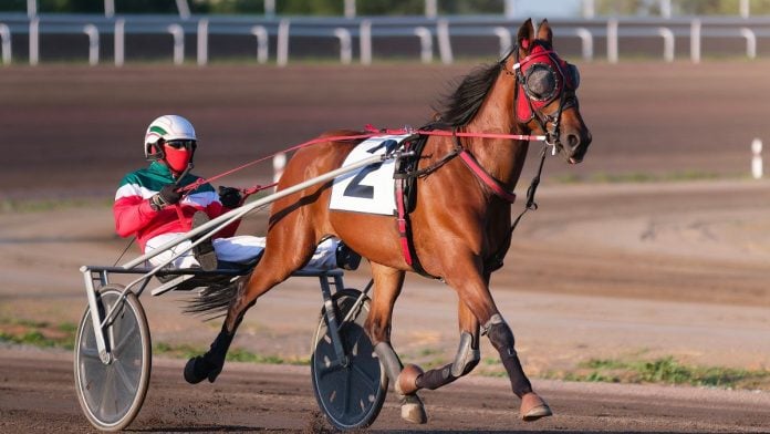 Illinois-Racing-Board-suspends-all-harness-racing-at-Hawthorne A horse pulls a harness racer around a track