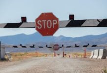 A stop sign with a barrier on a road in Nevada