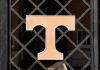 Tennessee student worker fired over Kalshi sports trading University of Tennessee logo as the school deals with a gambling-related incident.