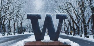 Washington Senate approves bill to allow betting on in-state college teams A large W sign for the University of Washington in the snow