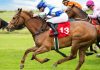 DraftKings to roll horse racing into main app, add more states Horses racing as DraftKings makes changes to its horse racing product.