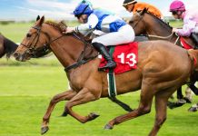 DraftKings to roll horse racing into main app, add more states Horses racing as DraftKings makes changes to its horse racing product.