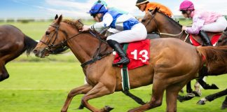 Horses racing as DraftKings makes changes to its horse racing product.