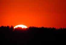 FanDuel sunsets P2P FanDuel Picks product after less than a year The sun setting behind trees