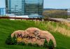 Fertitta buying Connecticut Sun WNBA team from Mohegan The Mohegan Sun logo in Connecticut